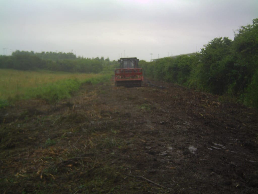 Tree clearance site after using tree mulcher