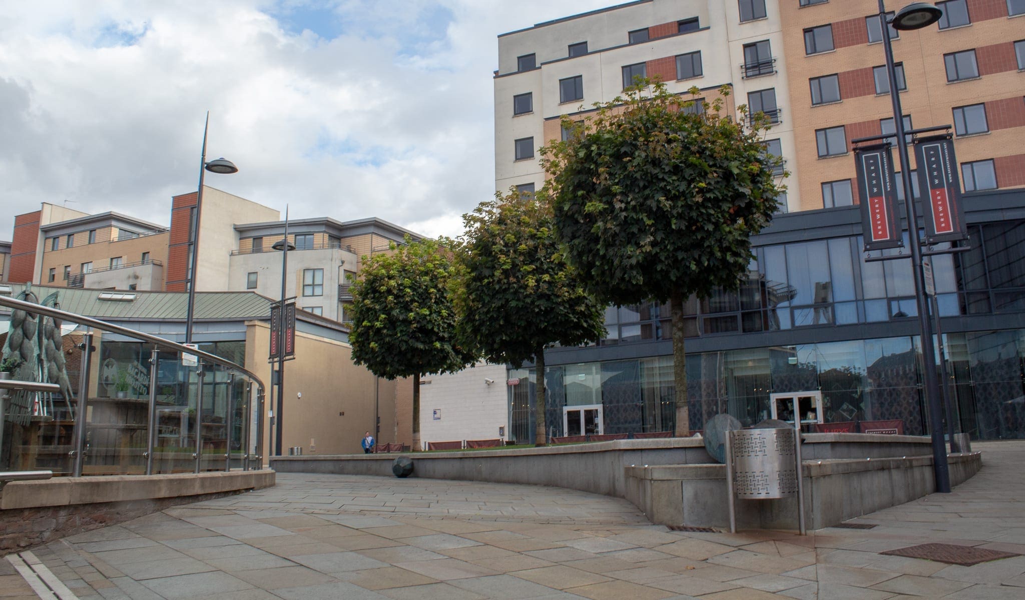 Urban trees that pet pruned regularly into a ball shape to suite their environment