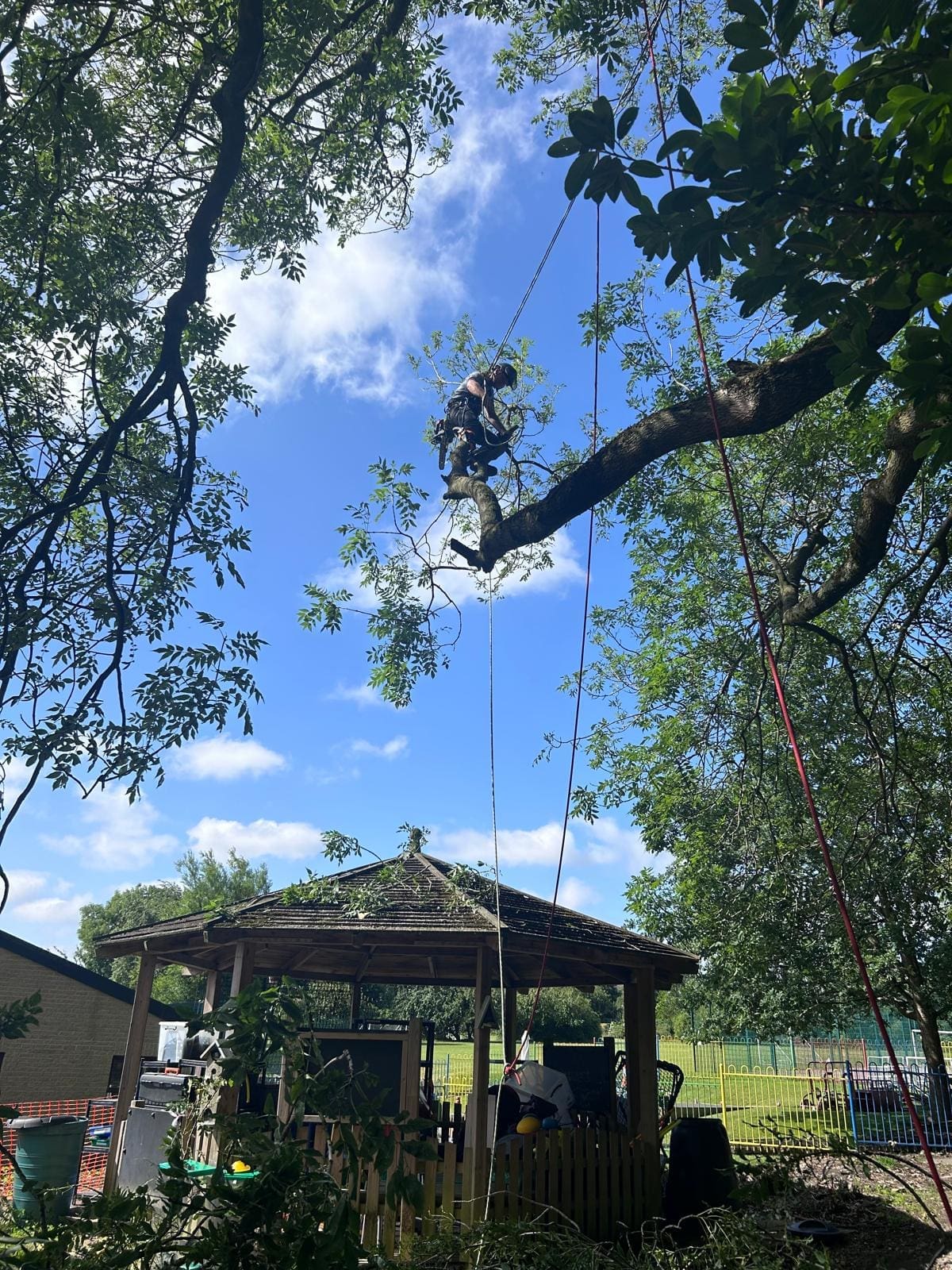 Tree Pruning to Remove a Branch over a summer house